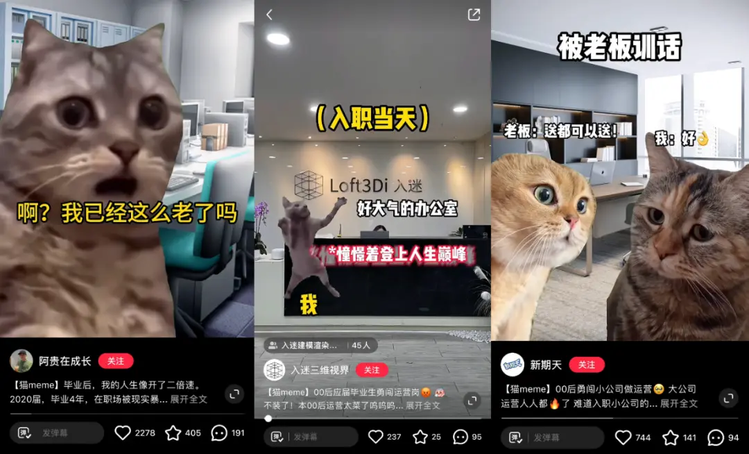猫meme走红，赛博时代的“情绪消化剂”(图2)