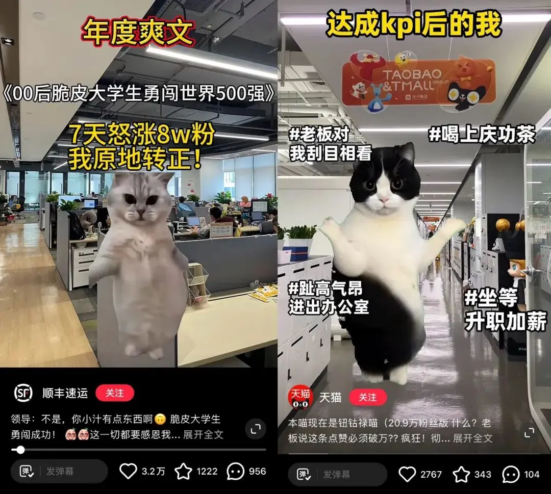 猫meme走红，赛博时代的“情绪消化剂”(图11)