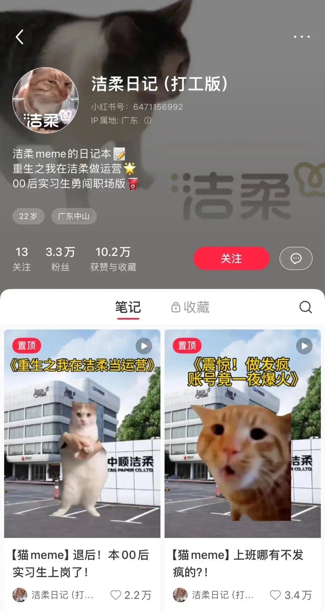 猫meme走红，赛博时代的“情绪消化剂”(图12)