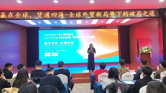 「赢在全球 货通四海」2025出海营销新思路(图4)