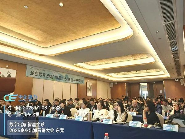 「数字出海 智赢全球」2025企业出海营销大会——东莞站 圆满落幕！(图5)