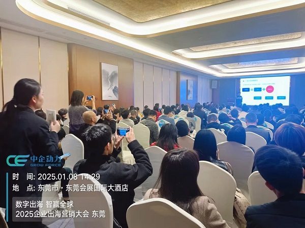 「数字出海 智赢全球」2025企业出海营销大会——东莞站 圆满落幕！(图6)
