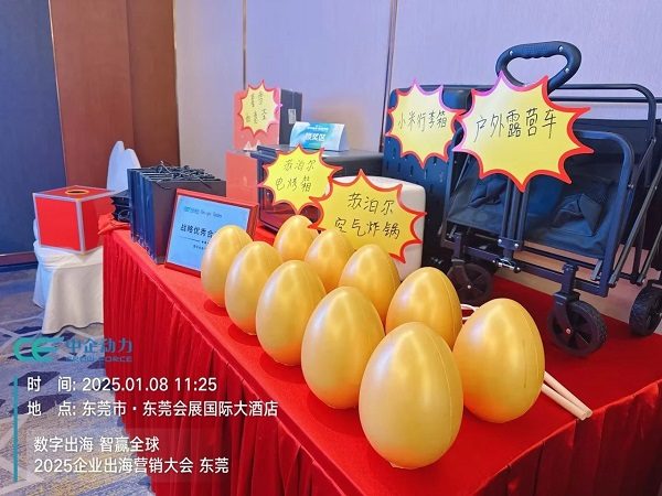 「数字出海 智赢全球」2025企业出海营销大会——东莞站 圆满落幕！(图9)