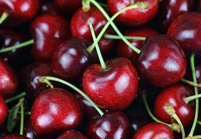 靠谱很重要！Google SEM快速帮您拿订单！ - 云笔网策