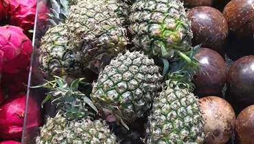 台湾菠萝引发的网站SEO内容差异性思考 - 云笔网策