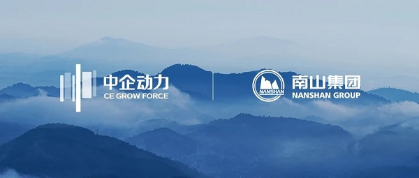 中企动力荣获Fmarketing擎鸣奖(图4)