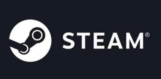 网站优化如何养成学学吸金狂魔steam(图1)