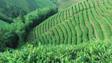 电缆产业SEO优化成功 落地百度首页-云笔网策 - 云笔网策