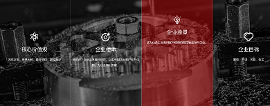 广东华雷金属：从内卷红海杀向欧洲蓝海，独立站+Google破局外贸(图5)