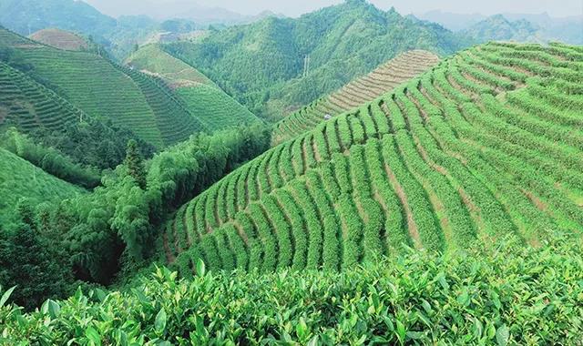 中迈电缆如何在多个搜索超1亿的关键词下冲击到首页(图1)