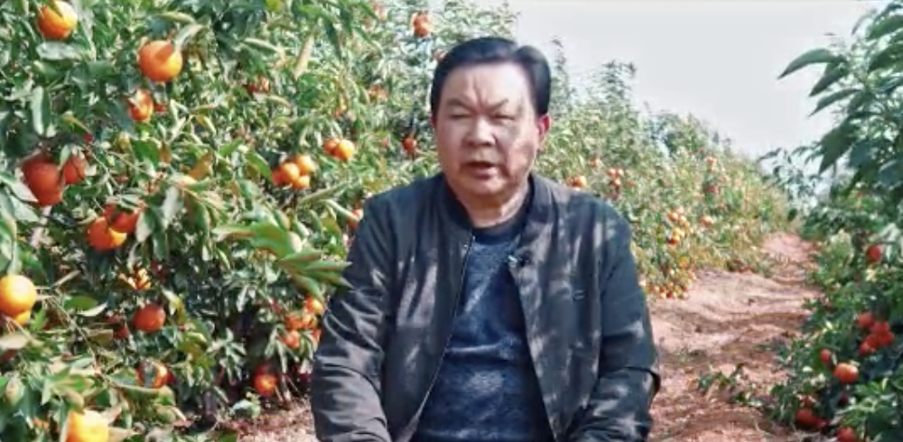 中迈电缆如何在多个搜索超1亿的关键词下冲击到首页(图2)