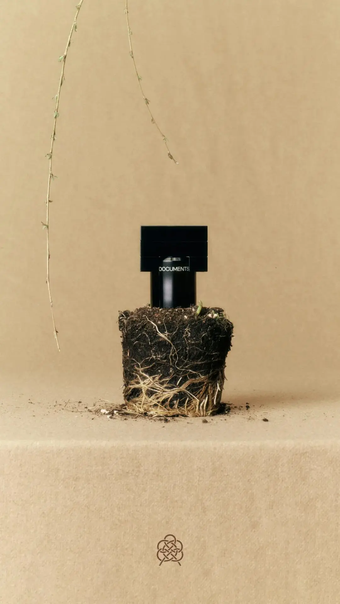 2024成功的节气营销做对了什么？(图4)