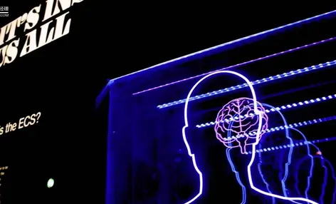 茅台与泡泡玛特的心智策略比较 - 云笔网策