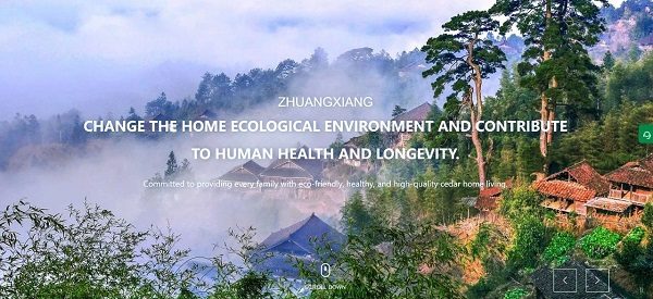 让世界闻到香杉的味道，「广西壮象木业」数字化出海之路(图2)