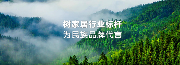 让世界闻到香杉的味道，「广西壮象木业」数字化出海之路(图4)