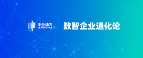 让世界闻到香杉的味道，「广西壮象木业」数字化出海之路 - 云笔网策