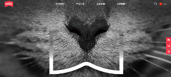 用“数字语言”重构宠物品牌信任体系 | 设计大赛案例赏析(图2)