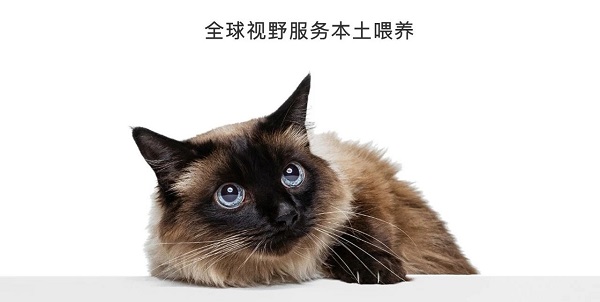 用“数字语言”重构宠物品牌信任体系 | 设计大赛案例赏析(图7)