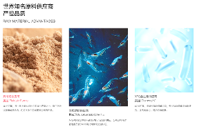 用“数字语言”重构宠物品牌信任体系 | 设计大赛案例赏析(图6)