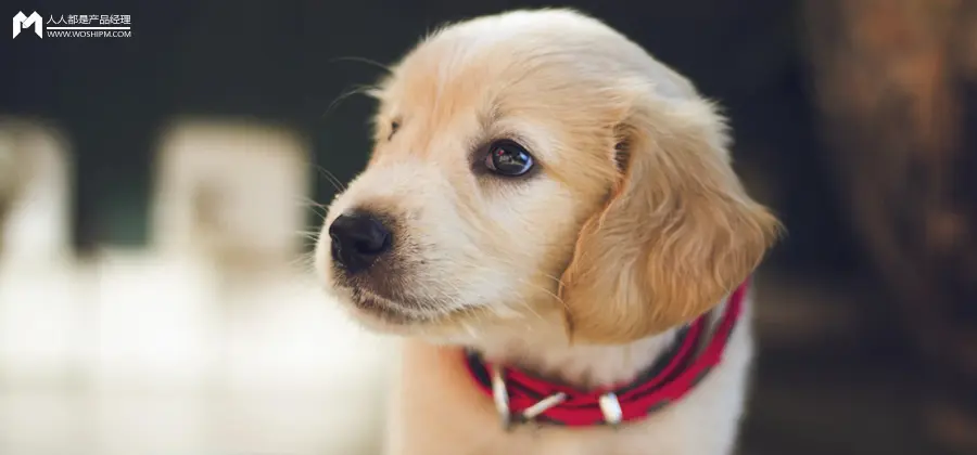 宠物消费市场千亿规模持续增长，人宠关系深化推动赛道细分发展-云笔网策(图1)