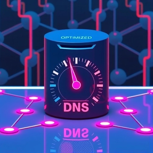 提升网站速度的秘密武器：DNS优化全面解析 - 云笔网策