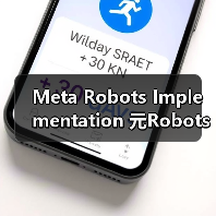 提升网站SEO成效的关键：Meta Robots正确配置-云笔网策(图2)