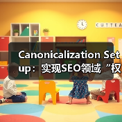 Canonicalization Setup：实现SEO领域“权威版本”的关键秘诀(图3)