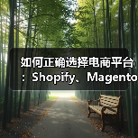 如何正确选择电商平台:Shopify、Magento 还是 WooCommerce?(图2) 电商平台选择策略:Shopify、Magento与WooCommerce对比分析-云笔网策(图2)