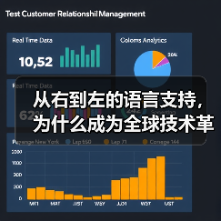从右到左的语言支持，为什么成为全球技术革新的新焦点？(图4)