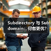 子目录还是子域名？国际SEO布局的秘密-云笔网策(图3)