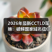 2026年最新CCTLD策略：破解国家域名信任密码的秘密(图4)