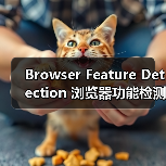 Browser Feature Detection 浏览器功能检测:渐进增强与兼容处理的秘密武器(图3) 浏览器功能检测:提升兼容性与用户体验的关键-云笔网策(图3)