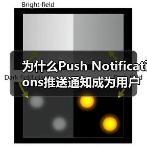 Push Notifications提升用户参与度的精准策略-云笔网策(图2)