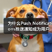 Push Notifications提升用户参与度的精准策略 - 云笔网策