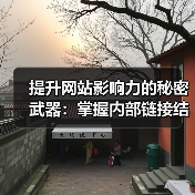 提升网站影响力的秘密武器：掌握内部链接结构秘技(图2)