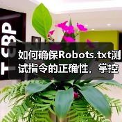 如何确保Robots.txt测试指令的正确性，掌控爬虫行为(图2)