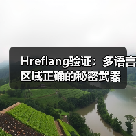 Hreflang验证:多语言区域正确的秘密武器(图2) Hreflang验证:多语言区域正确的秘密武器(图2)