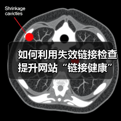 如何利用失效链接检查提升网站“链接健康”与用户引导效果(图2) 失效链接检测:提升网站健康的隐藏武器-云笔网策(图2)