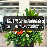 提升网站性能的秘密武器：页面速度测试与改进指南(图2)