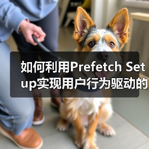 如何利用Prefetch Setup实现用户行为驱动的预测性加载(图3) 如何利用Prefetch Setup实现用户行为驱动的预测性加载(图3)