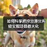 资源优先级与关键路径优化：项目成功的制胜法则-云笔网策(图2)