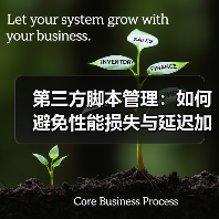 第三方脚本管理：如何避免性能损失与延迟加载的坑(图2)