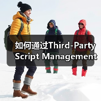 第三方脚本管理怎么优化？实用策略提升加载速度-辰飞雨云笔网策(图4)