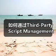 第三方脚本管理怎么优化？实用策略提升加载速度-辰飞雨云笔网策(图3)
