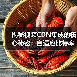 视频CDN与自适应比特率：如何打造流畅无缓冲的流媒体体验？-辰飞雨云笔网策(图3)