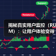 揭秘真实用户监控(RUM):让用户体验变得更极致(图4) 真实用户监控:网站优化的秘密武器?-辰飞雨云笔网策(图4)