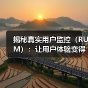 揭秘真实用户监控(RUM):让用户体验变得更极致(图2) 真实用户监控:网站优化的秘密武器?-辰飞雨云笔网策(图2)