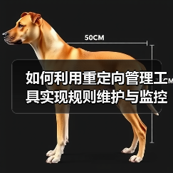 如何利用重定向管理工具实现规则维护与监控的完美结合 - 辰飞雨云笔网策
