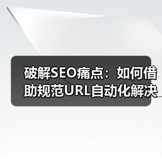 掌握规范URL自动化，SEO排名飙升87%！-辰飞雨云笔网策(图2)