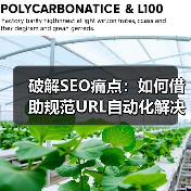 掌握规范URL自动化，SEO排名飙升87%！-辰飞雨云笔网策(图3)